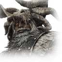 Raider